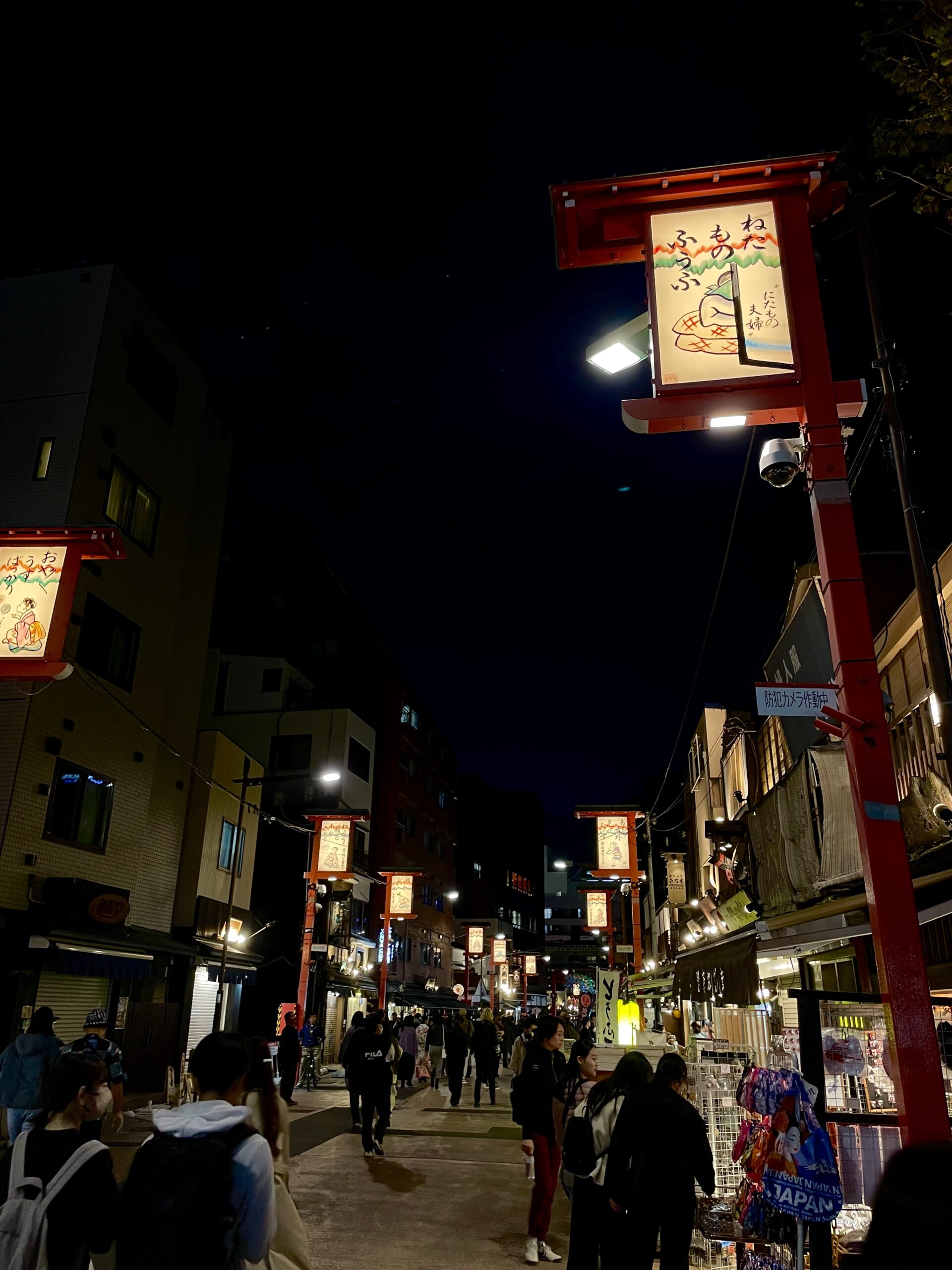 Asakusa Tokyo neighborhood at night illuminated lanterns shopping street