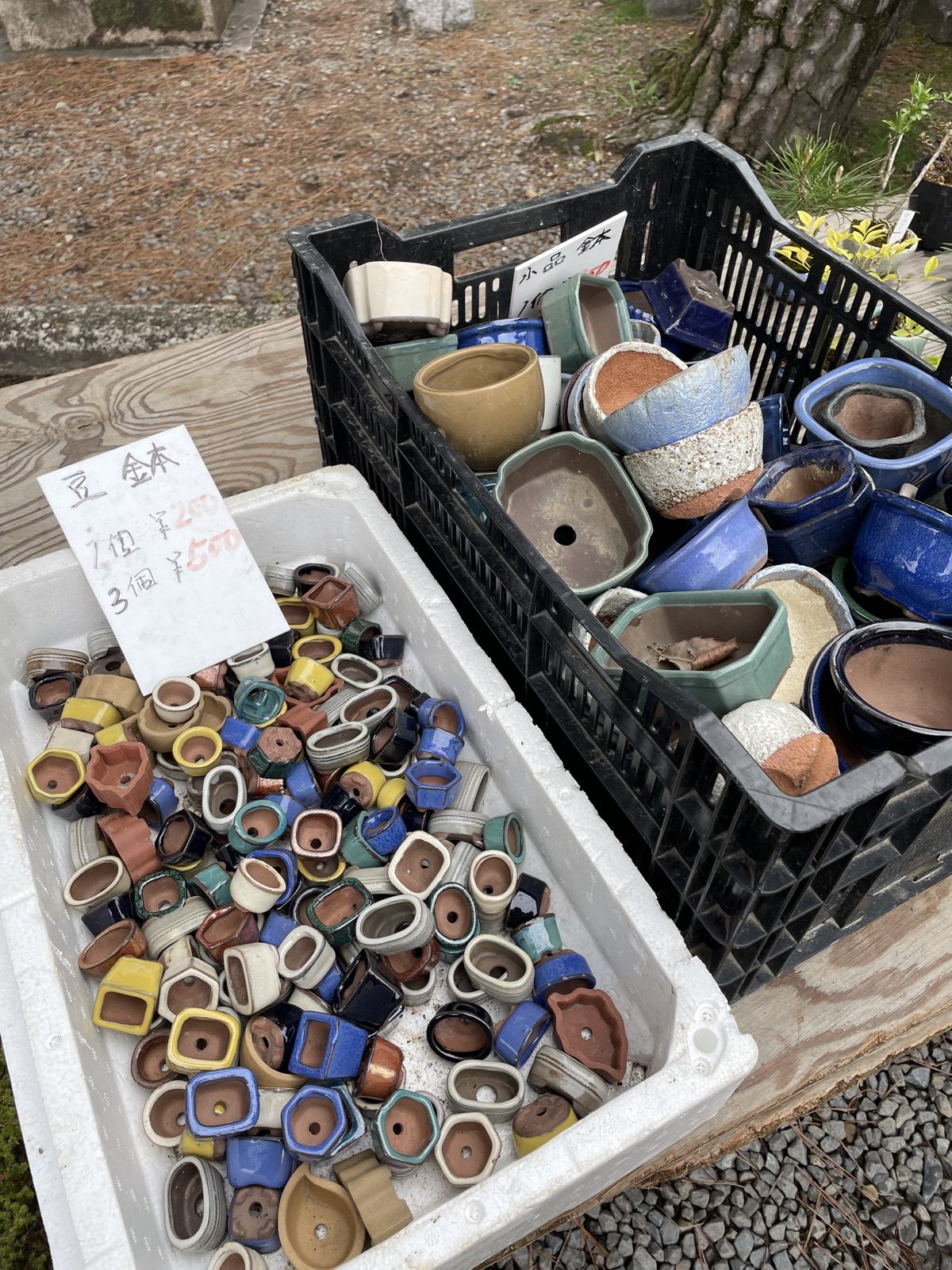Crates of miniature bonsai pots at the Tenjin-san flea market